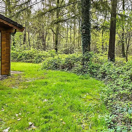 Cozy In With Sauna Vakantiehuis *