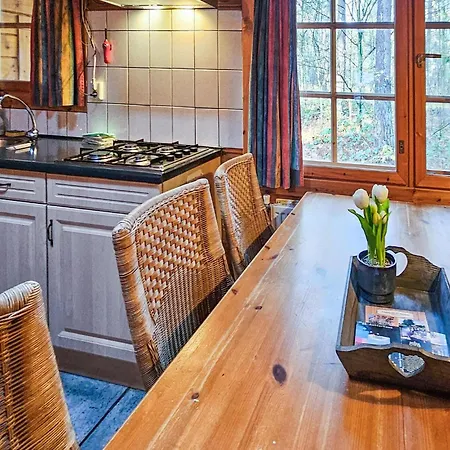 Cozy In With Sauna Vakantiehuis