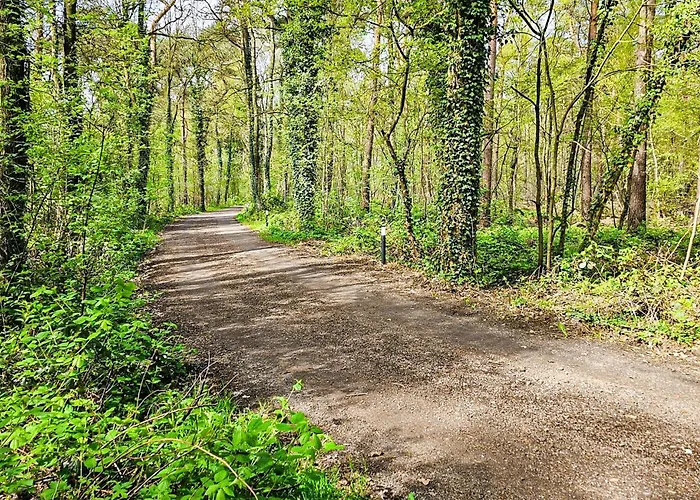Semesterbostad Cozy In With Sauna *