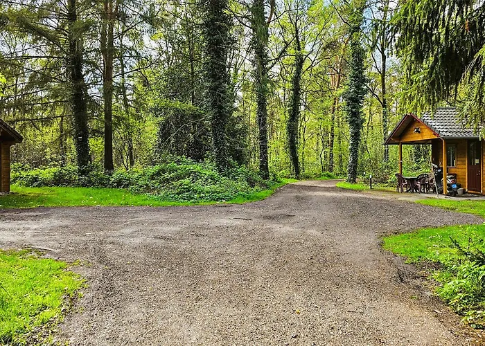 Cozy In With Sauna *