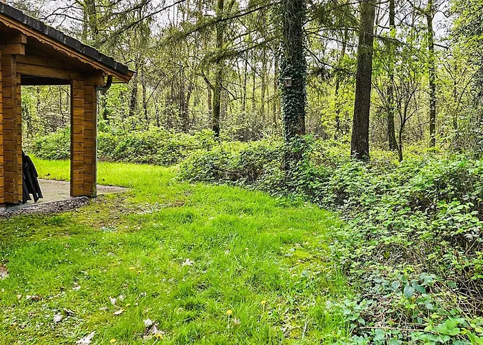 Cozy In With Sauna Semesterbostad *