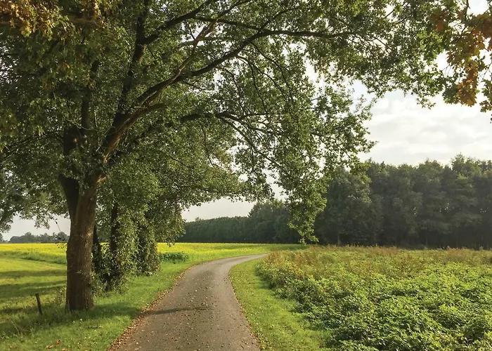 Semesterbostad Cozy In With Sauna