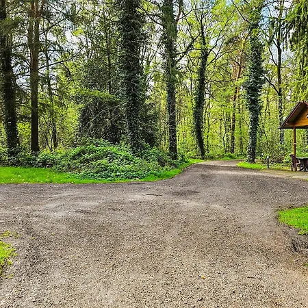 Cozy In With Sauna *